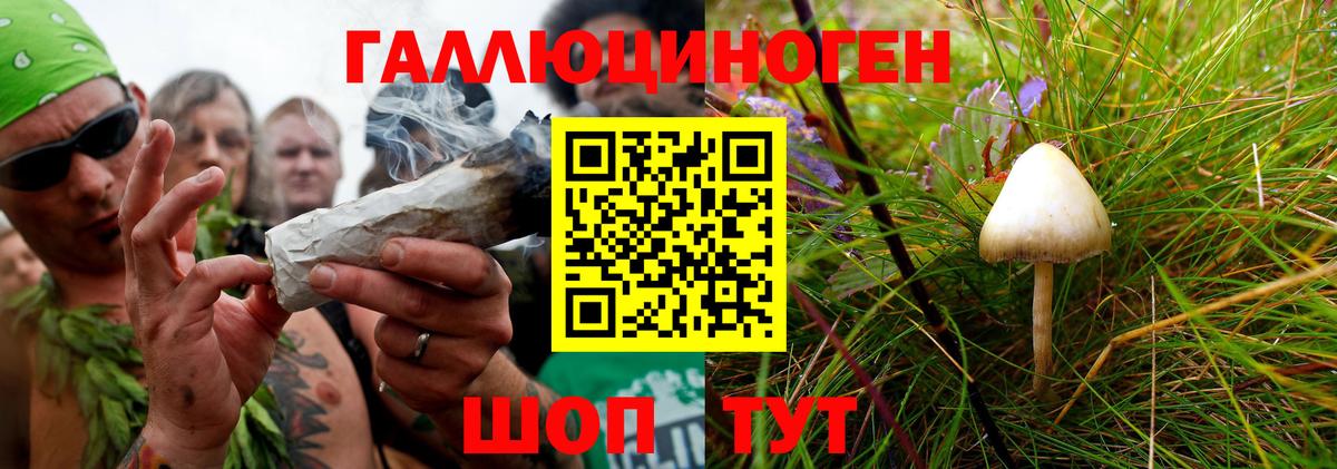 Псилоцибиновые грибы мицелий Тавда